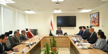 Egypt, Japan enjoy longstanding ties in water resources sphere: Minister