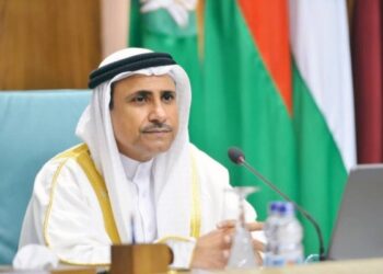 Assomi announces support of AP for wise policy of Sisi while managing GERD crisis