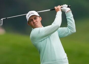 Whitnell leads final round in Sweden