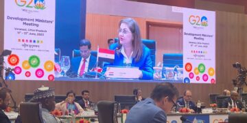 Planning min. to G20 meeting: Egyptian gov’t attaches great importance to localization of sustainable development goals