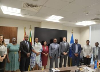 Maait: Presidential authorisation to work on transferring Egyptian expertise in reforming, mechanising different sectors to African brethren