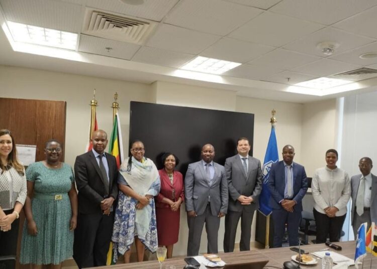 Maait: Presidential authorisation to work on transferring Egyptian expertise in reforming, mechanising different sectors to African brethren 2 - Egyptian Gazette Maait: Presidential authorisation to work on transferring Egyptian expertise in reforming, mechanising different sectors to African brethren 1 - Egyptian Gazette