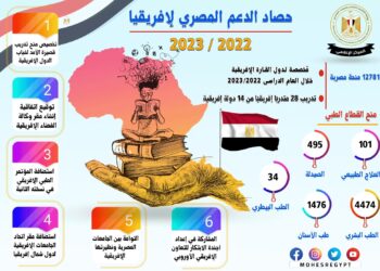 Egyptian support for higher education in Africa