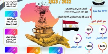 Egyptian support for higher education in Africa