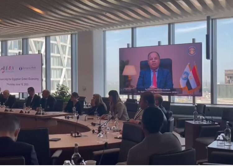 Maait: Britain is key strategic partner to Egypt 1 - Egyptian Gazette