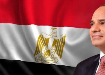 Sisi back home after participating in Summit for New Global Financing Pact