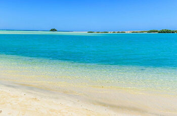 Wadi al-Gemal, a major Red Sea dazzler