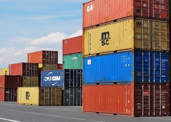 Egyptian exports to COMESA countries up 10.9% in 2022