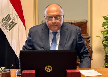 Shoukry takes part in high-level conf. on Sudan, region