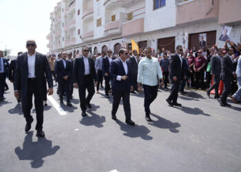 President Sisi lauds efforts exerted by workers in health unit