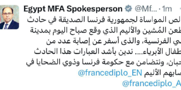 Foreign Ministry condoles with France over Annecy stabbing 1 - Egyptian Gazette Foreign Ministry condoles with France over Annecy stabbing