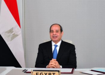 Sisi participates via video conference in meeting to mediate in Russian-Ukrainian crisis