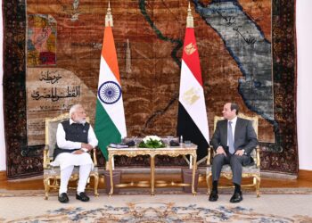 Sisi confident of India ability to contain global economic challenges as G20 head