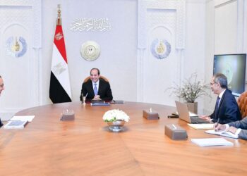 Sisi: Digital Egypt Strategy bolsters CIT sector