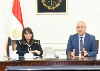 Ministers of emigration, housing review report on combating illegal immigration