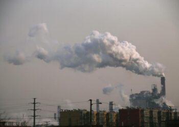 Companies to get first carbon accounting rules