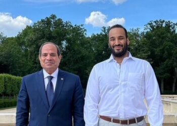 Sisi, Bin Salman laud Egyptian-Saudi strong relations