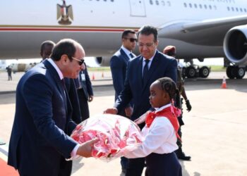 President Sisi arrives in Mozambique, last leg of his African tour