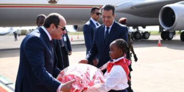President Sisi arrives in Mozambique, last leg of his African tour