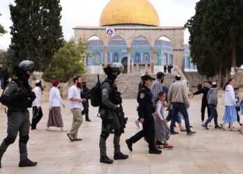 Two Palestinians shot, six detained during Israeli raids in WB