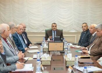 Military Production Minister: NAC project is great leap for Egypt