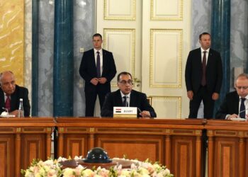 PM: Egypt strongly in favour of African efforts to end Russia-Ukraine conflict