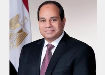 AUDA-NEPAD chief praises Sisi’s role in achieving stability in Africa