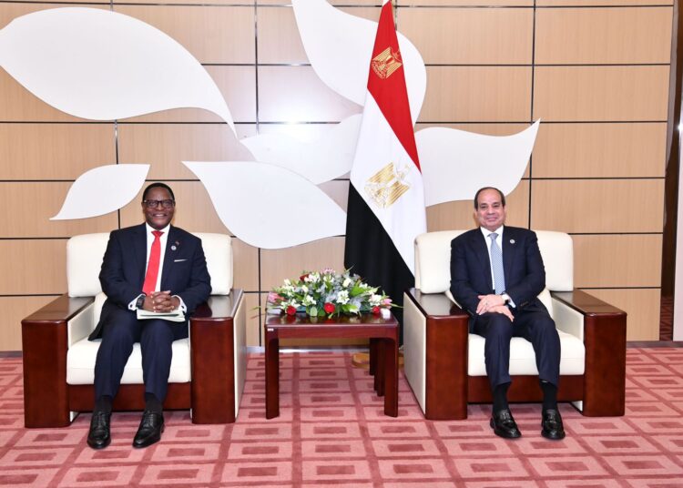 President Abdel Fattah El Sisi during his meeting with Malawian President Lazarus McCarthy Chakwera.