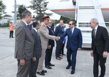 Sisi to focus on boosting developing countries access to financial flaws