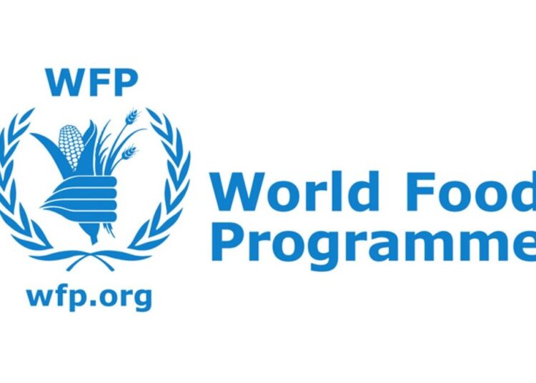 WFP, Egypt establish humanitarian corridor between Egypt and Sudan to support trapped people 2 - Egyptian Gazette WFP, Egypt establish humanitarian corridor between Egypt and Sudan to support trapped people 1 - Egyptian Gazette