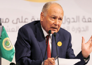 Abul Gheit asserts support to UN efforts to settle crisis in Libya