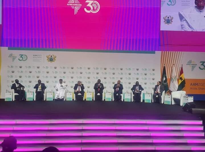 Maeet urges African coordination, boosting co-operation mechanisms 1 - Egyptian Gazette