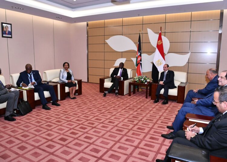 President Abdel Fattah El Sisi during his meeting with his Kenyan counterpart William Samoei Ruto.