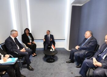 Sisi says he looks forward to developing bilateral cooperation with France