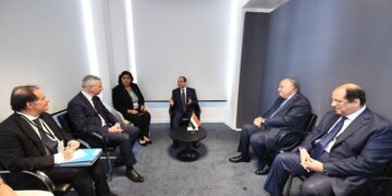 Sisi says he looks forward to developing bilateral cooperation with France 1 - Egyptian Gazette Sisi says he looks forward to developing bilateral cooperation with France