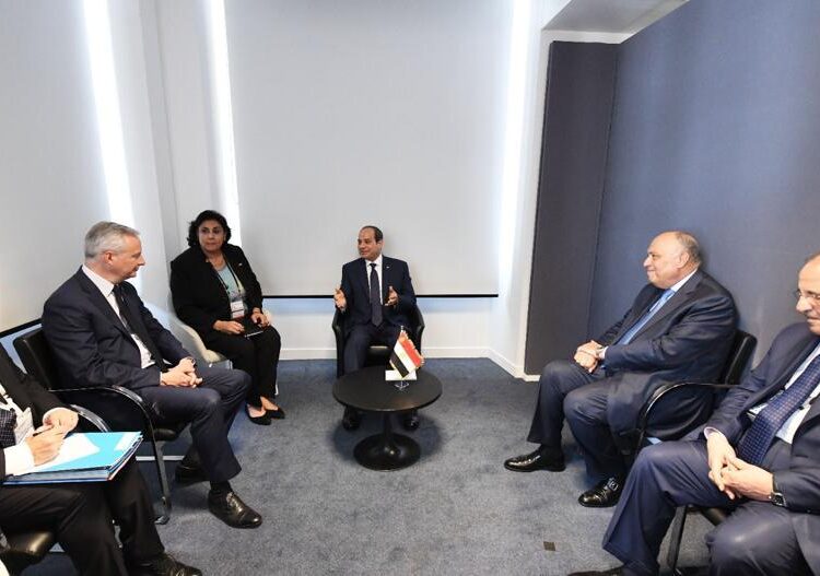 Sisi says he looks forward to developing bilateral cooperation with France 1 - Egyptian Gazette