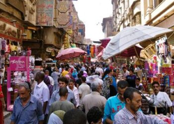 Egypt took all measures required to face challenges facing labor market – min.