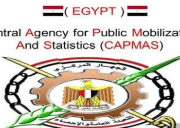 ‘Egypt is 5th largest remittance recipient country in the world’