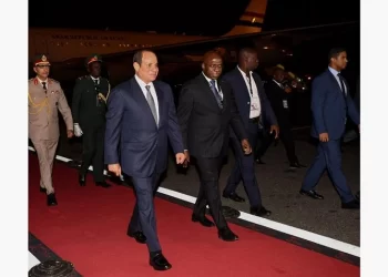Spokesman: Development, settling crises main focus of Sisi’s Africa tour talks