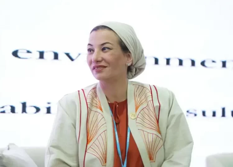 Fouad to MENA: Investment in coming generations, youth is genuine investment to conserve environment 1 - Egyptian Gazette