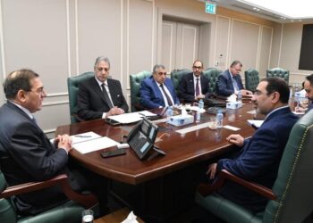 Egypt, Kuwait discuss increasing petroleum investment in Egypt