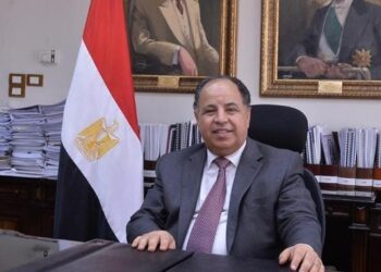 Egypt will save no effort to support developmental tracks in Africa