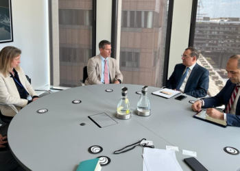 ‘Egypt has large potential to expand green hydrogen production’