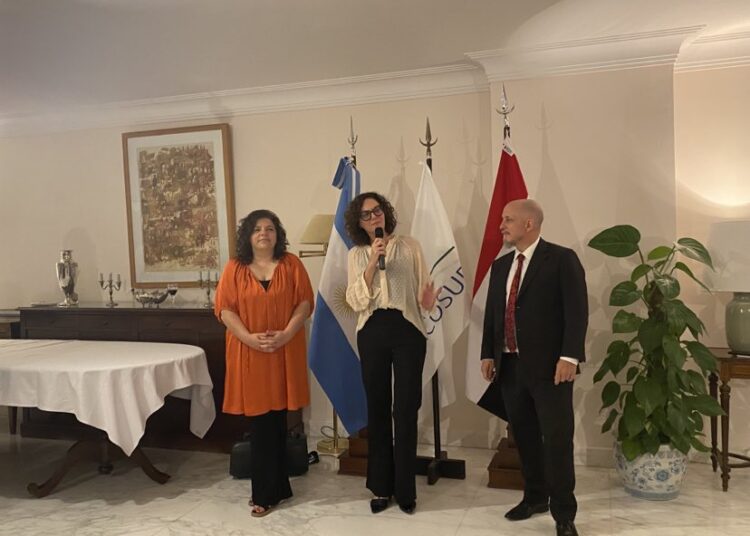 High-level co-operation talks with Argentine 1 - Egyptian Gazette