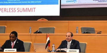 Egypt’s presidency of COMESA enabled easy transportation, economic support – Secretary General