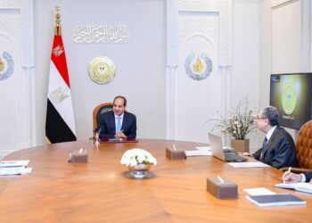 President reviews interconnection projects with neighbouring countries