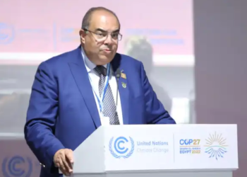 ‘Africa needs to maximize green hydrogen feasibility’