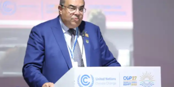 ‘Africa needs to maximize green hydrogen feasibility’