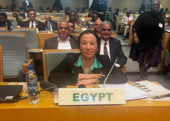 Egypt participates in Africa, Caribbean, Pacific conf.