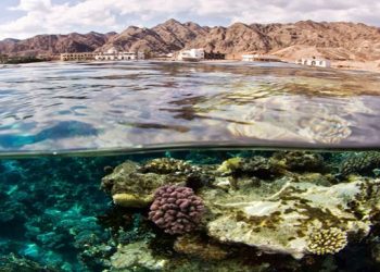 Abu Galum reserve, a must-visit in Sinai